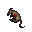 rat